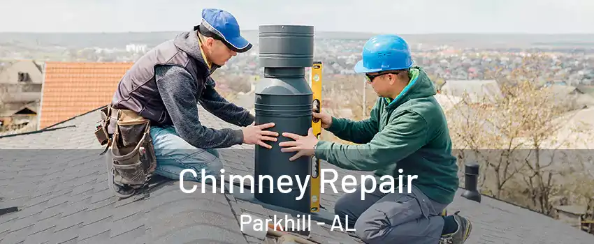 Chimney Repair Parkhill - AL