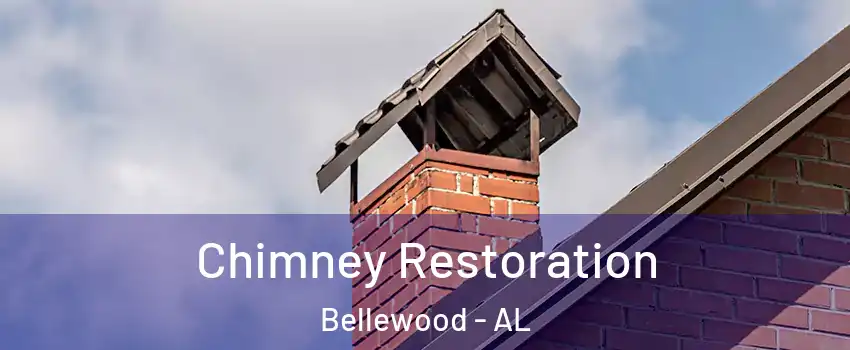 Chimney Restoration Bellewood - AL