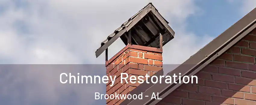 Chimney Restoration Brookwood - AL