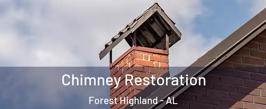Chimney Restoration Forest Highland - AL