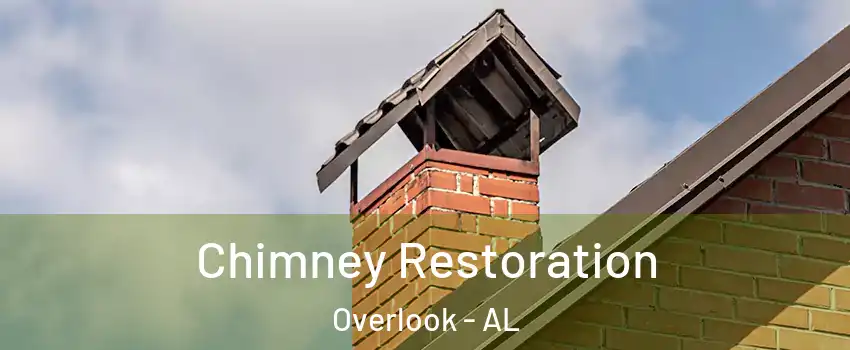 Chimney Restoration Overlook - AL