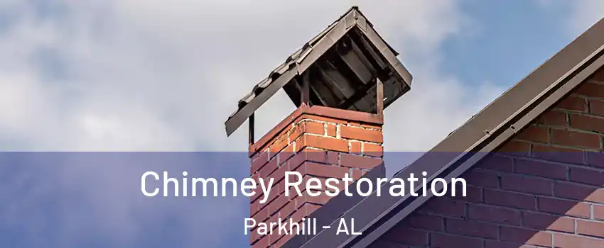 Chimney Restoration Parkhill - AL