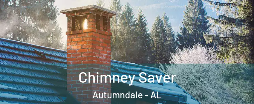 Chimney Saver Autumndale - AL