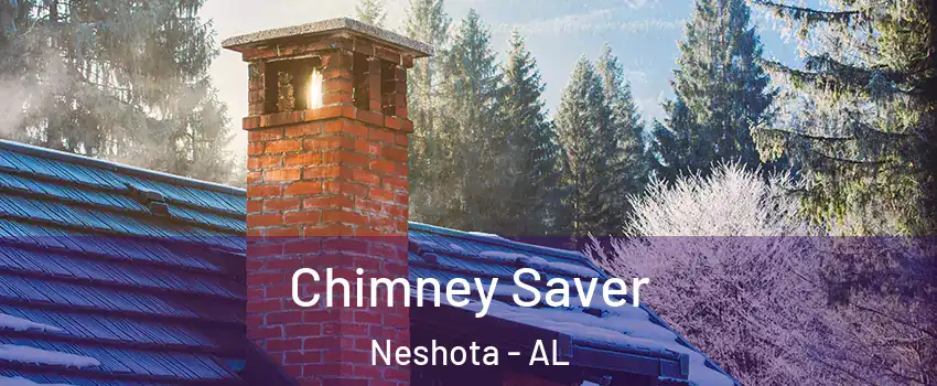 Chimney Saver Neshota - AL