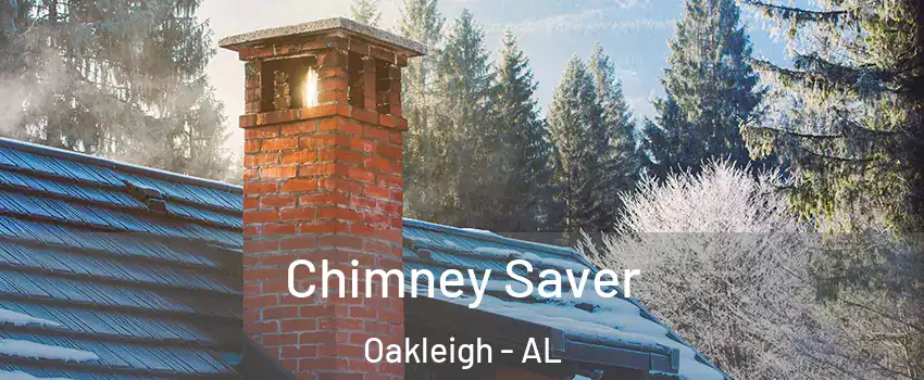 Chimney Saver Oakleigh - AL