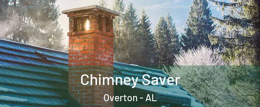 Chimney Saver Overton - AL
