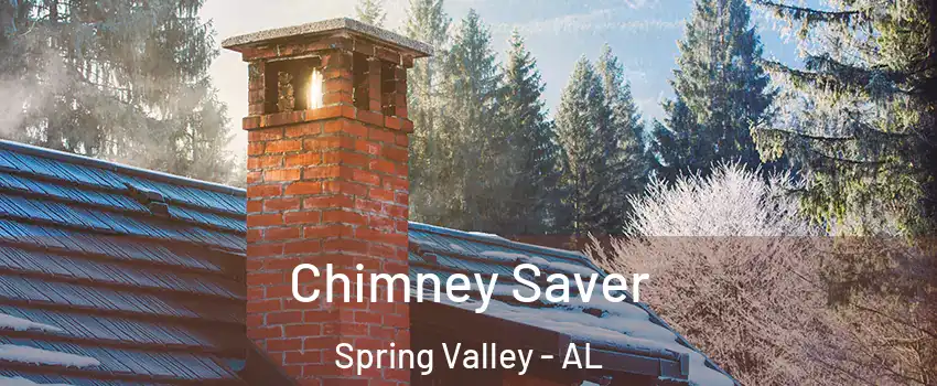 Chimney Saver Spring Valley - AL