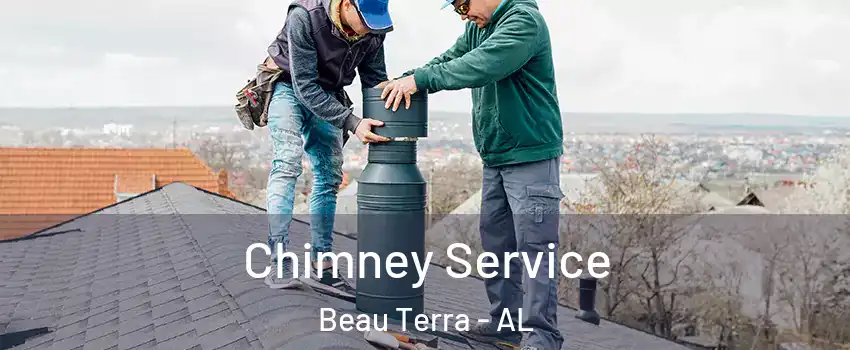 Chimney Service Beau Terra - AL