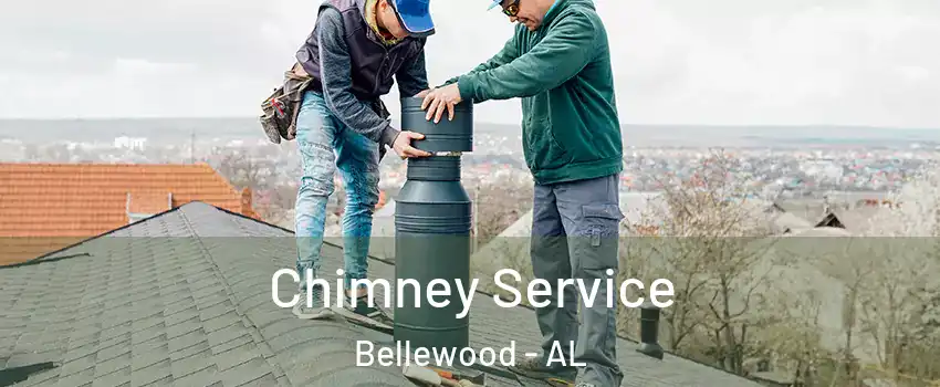 Chimney Service Bellewood - AL