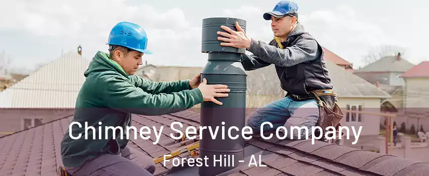 Chimney Service Company Forest Hill - AL