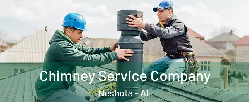Chimney Service Company Neshota - AL