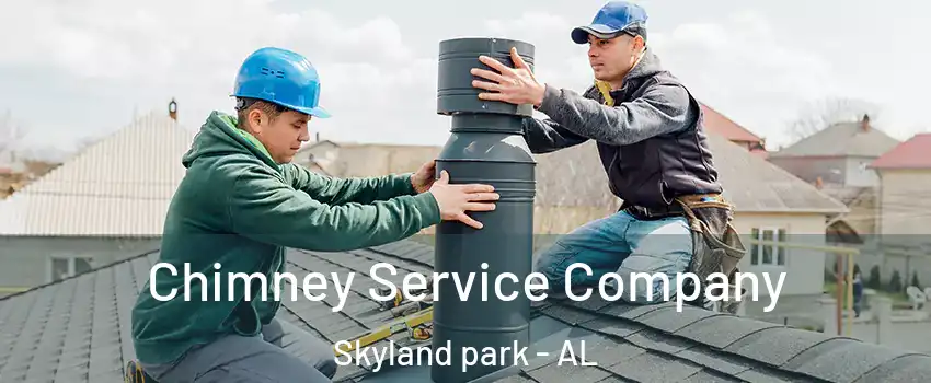 Chimney Service Company Skyland park - AL