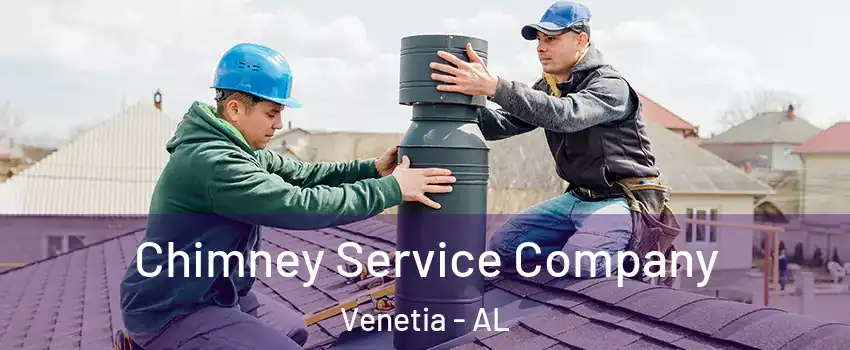Chimney Service Company Venetia - AL