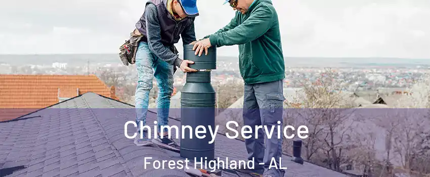 Chimney Service Forest Highland - AL