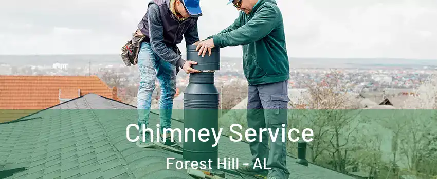 Chimney Service Forest Hill - AL