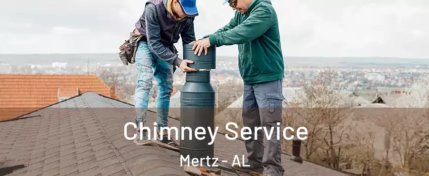 Chimney Service Mertz - AL