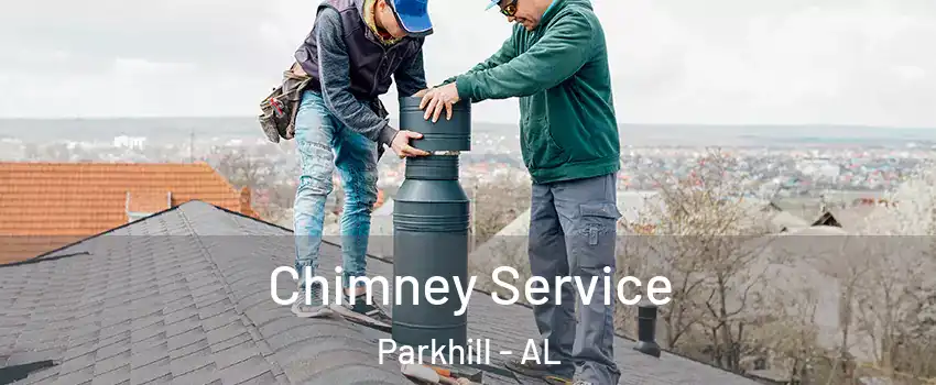 Chimney Service Parkhill - AL