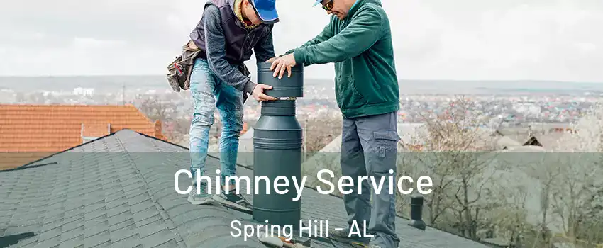 Chimney Service Spring Hill - AL