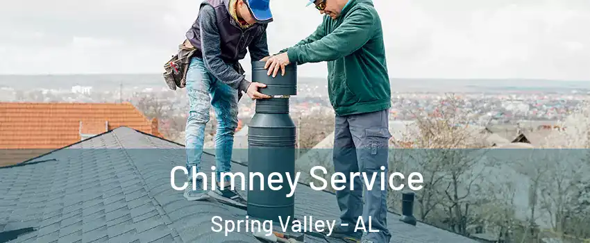 Chimney Service Spring Valley - AL