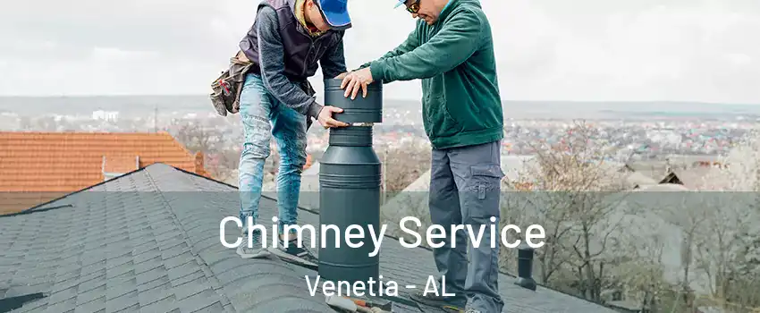 Chimney Service Venetia - AL