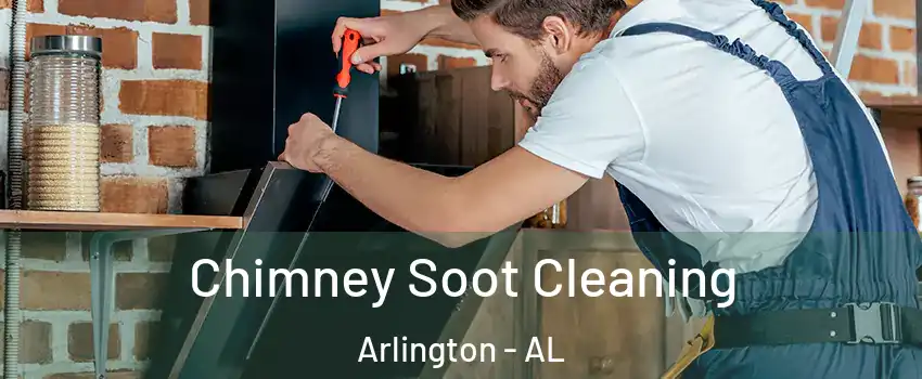 Chimney Soot Cleaning Arlington - AL