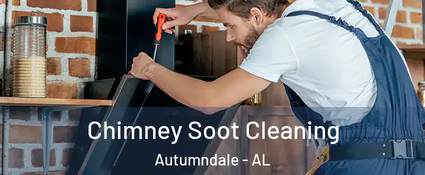 Chimney Soot Cleaning Autumndale - AL