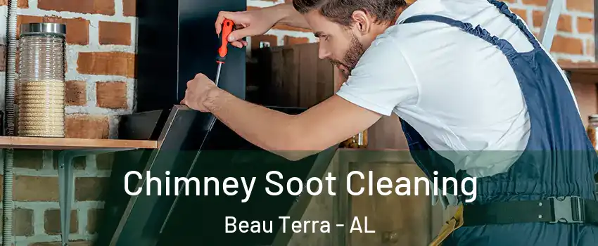 Chimney Soot Cleaning Beau Terra - AL
