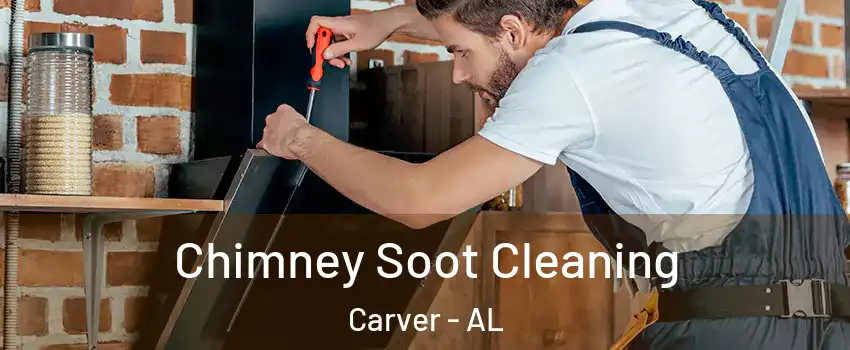 Chimney Soot Cleaning Carver - AL