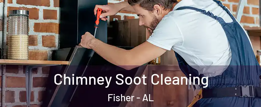 Chimney Soot Cleaning Fisher - AL