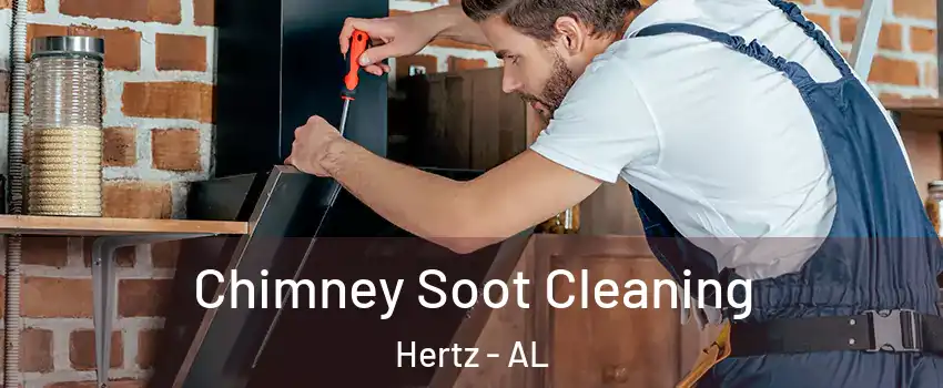 Chimney Soot Cleaning Hertz - AL