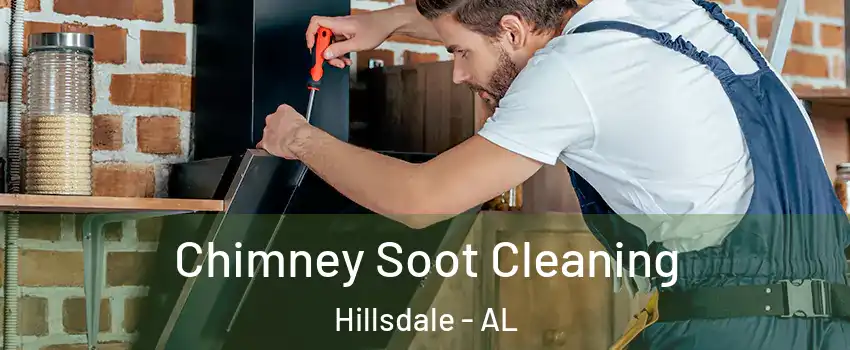 Chimney Soot Cleaning Hillsdale - AL