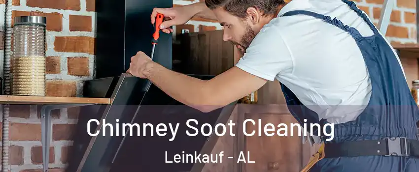 Chimney Soot Cleaning Leinkauf - AL