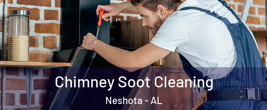 Chimney Soot Cleaning Neshota - AL
