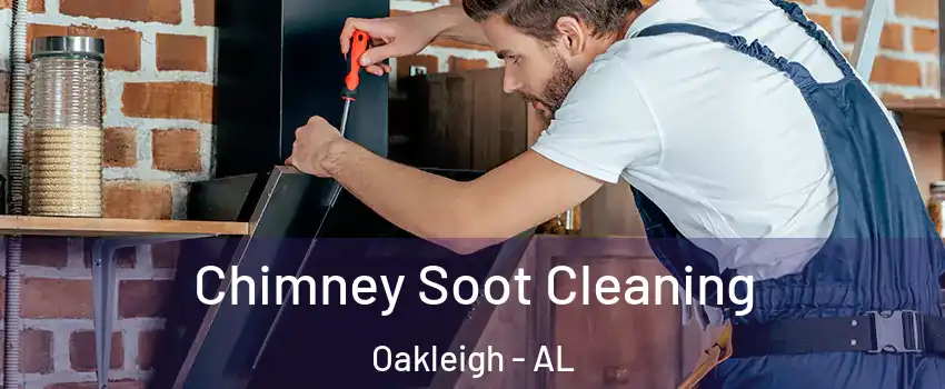 Chimney Soot Cleaning Oakleigh - AL