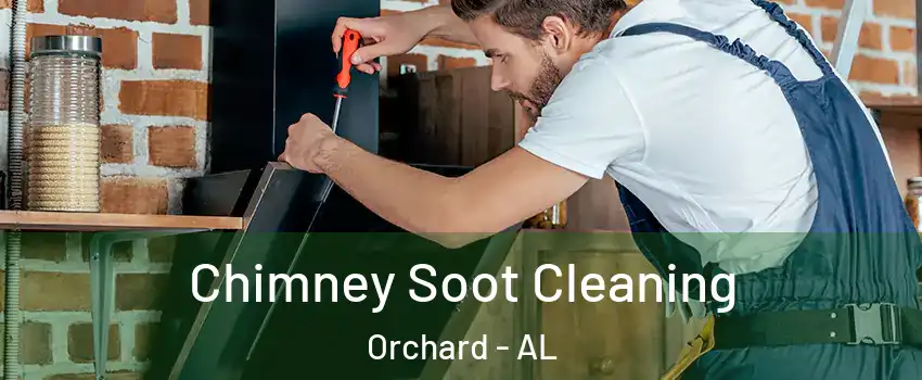 Chimney Soot Cleaning Orchard - AL