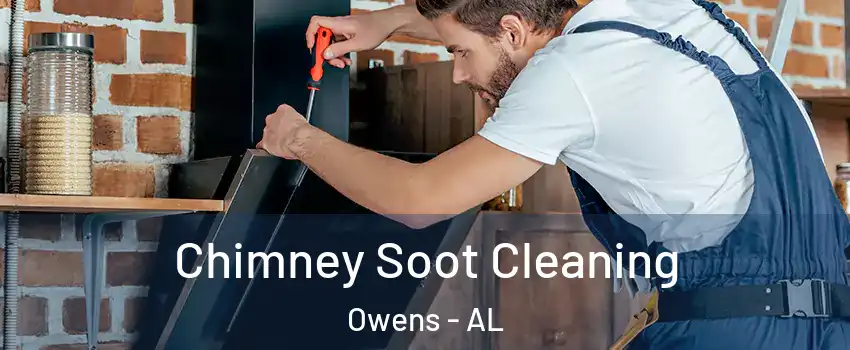 Chimney Soot Cleaning Owens - AL