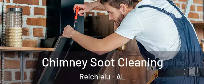 Chimney Soot Cleaning Reichleiu - AL