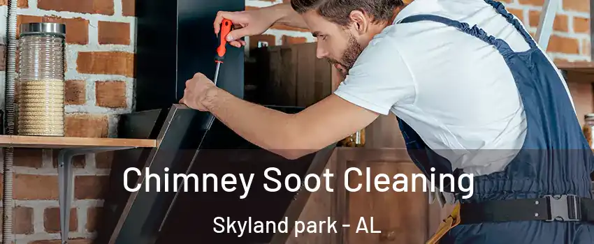Chimney Soot Cleaning Skyland park - AL