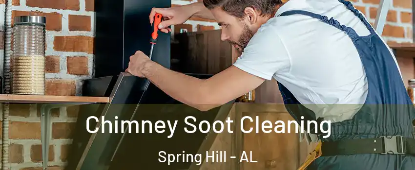 Chimney Soot Cleaning Spring Hill - AL