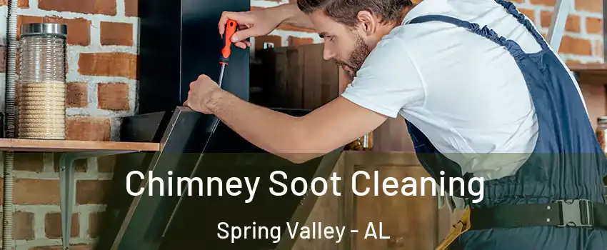 Chimney Soot Cleaning Spring Valley - AL