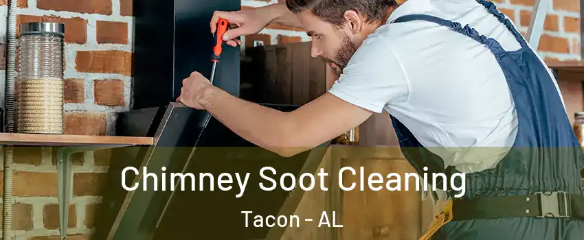 Chimney Soot Cleaning Tacon - AL