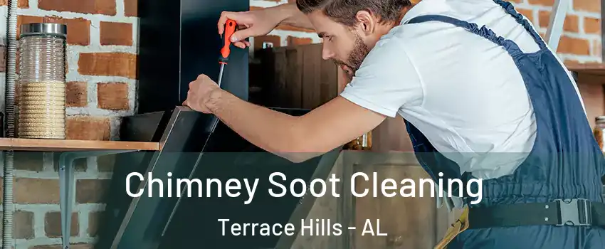 Chimney Soot Cleaning Terrace Hills - AL