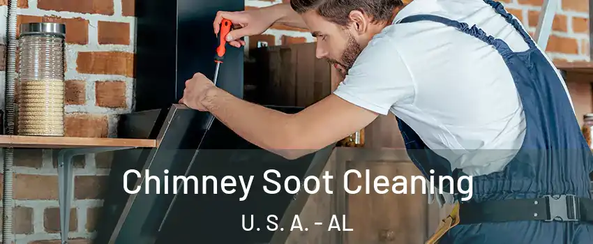 Chimney Soot Cleaning U. S. A. - AL