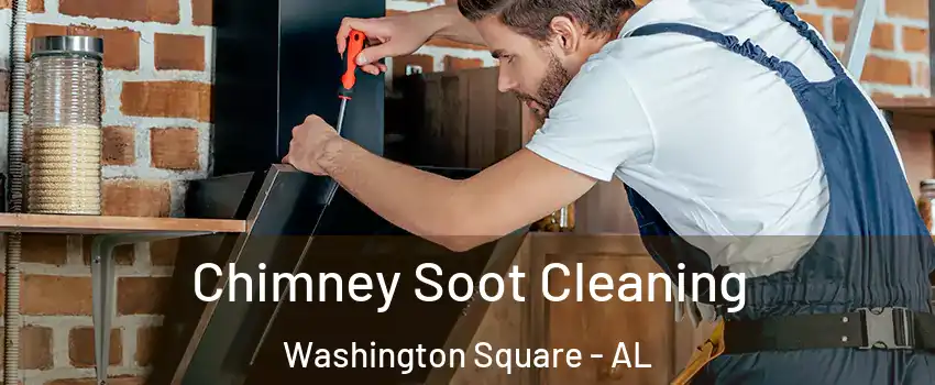 Chimney Soot Cleaning Washington Square - AL
