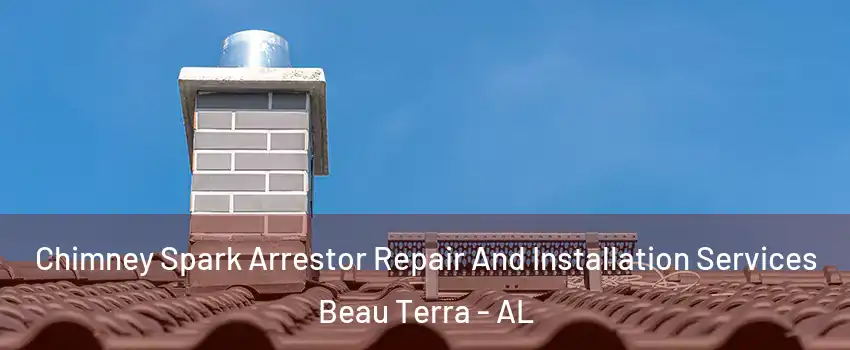 Chimney Spark Arrestor Repair And Installation Services Beau Terra - AL