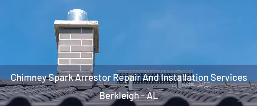 Chimney Spark Arrestor Repair And Installation Services Berkleigh - AL