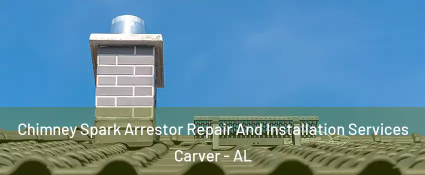 Chimney Spark Arrestor Repair And Installation Services Carver - AL