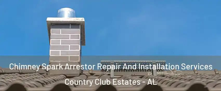 Chimney Spark Arrestor Repair And Installation Services Country Club Estates - AL