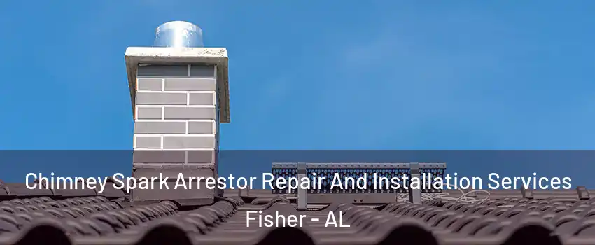 Chimney Spark Arrestor Repair And Installation Services Fisher - AL