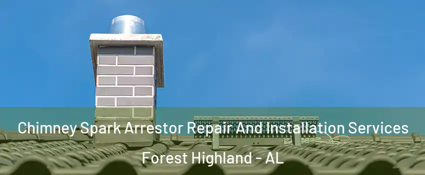 Chimney Spark Arrestor Repair And Installation Services Forest Highland - AL